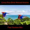 Paul Harrison Mcr - Costa Rica Birds Manuel Antonio